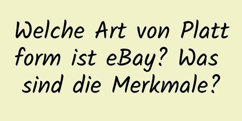 Welche Art von Plattform ist eBay? Was sind die Merkmale?