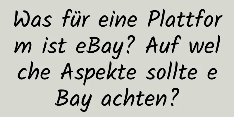 Was für eine Plattform ist eBay? Auf welche Aspekte sollte eBay achten?