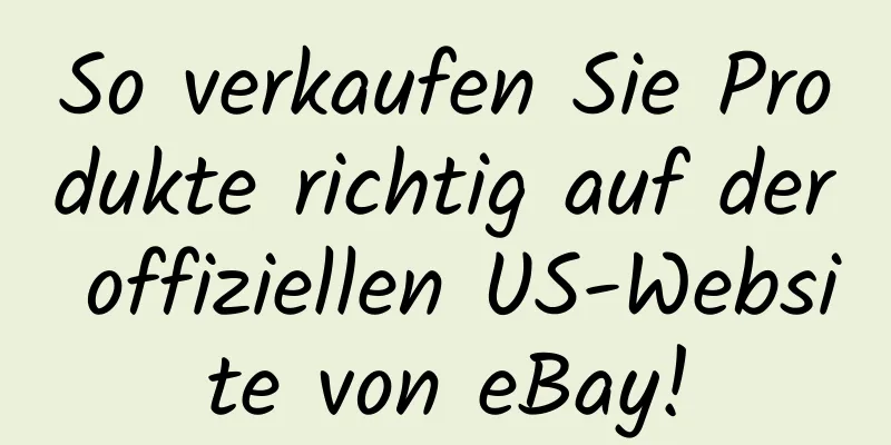 So verkaufen Sie Produkte richtig auf der offiziellen US-Website von eBay!