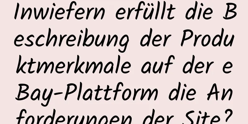 Inwiefern erfüllt die Beschreibung der Produktmerkmale auf der eBay-Plattform die Anforderungen der Site?