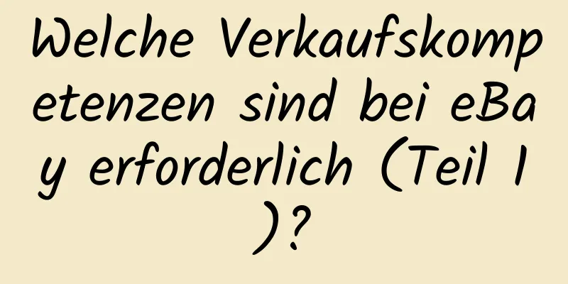 Welche Verkaufskompetenzen sind bei eBay erforderlich (Teil 1)?