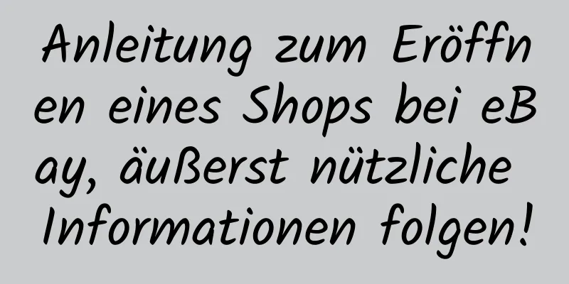 Anleitung zum Eröffnen eines Shops bei eBay, äußerst nützliche Informationen folgen!