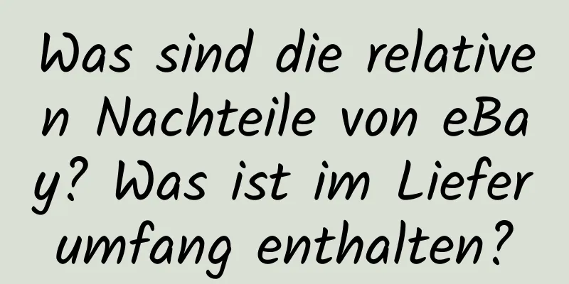 Was sind die relativen Nachteile von eBay? Was ist im Lieferumfang enthalten?