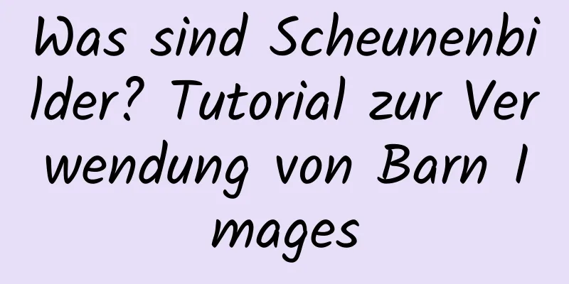 Was sind Scheunenbilder? Tutorial zur Verwendung von Barn Images