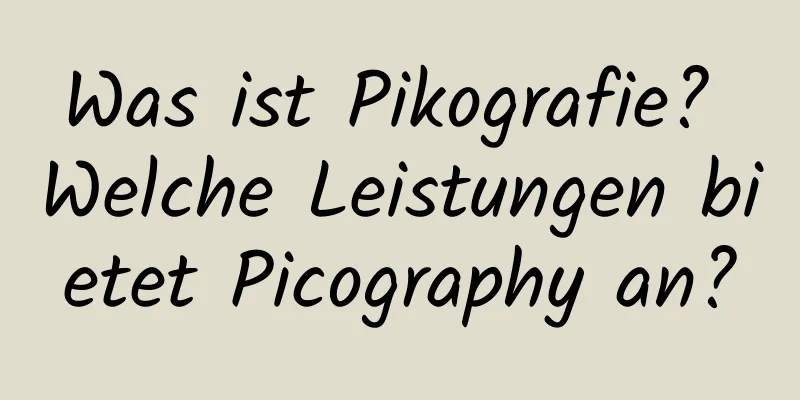 Was ist Pikografie? Welche Leistungen bietet Picography an?