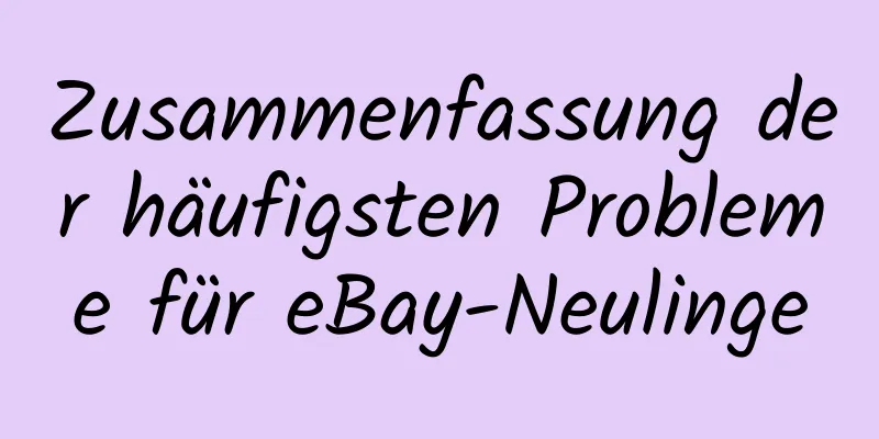 Zusammenfassung der häufigsten Probleme für eBay-Neulinge