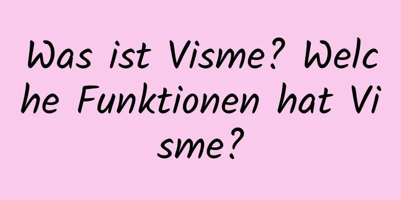 Was ist Visme? Welche Funktionen hat Visme?