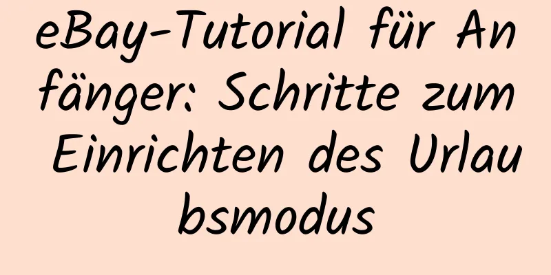 eBay-Tutorial für Anfänger: Schritte zum Einrichten des Urlaubsmodus