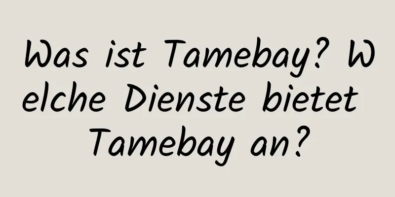 Was ist Tamebay? Welche Dienste bietet Tamebay an?