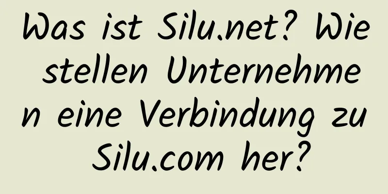 Was ist Silu.net? Wie stellen Unternehmen eine Verbindung zu Silu.com her?