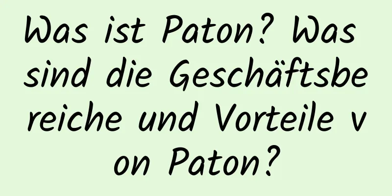 Was ist Paton? Was sind die Geschäftsbereiche und Vorteile von Paton?