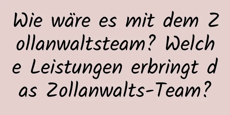 Wie wäre es mit dem Zollanwaltsteam? Welche Leistungen erbringt das Zollanwalts-Team?