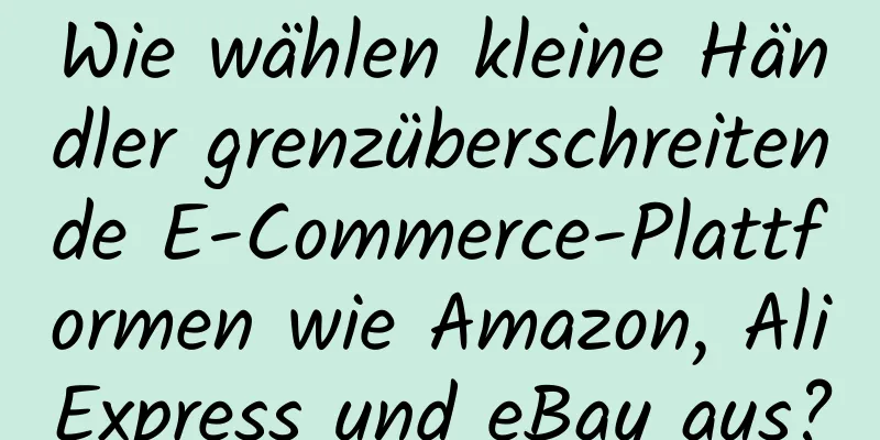 Wie wählen kleine Händler grenzüberschreitende E-Commerce-Plattformen wie Amazon, AliExpress und eBay aus?