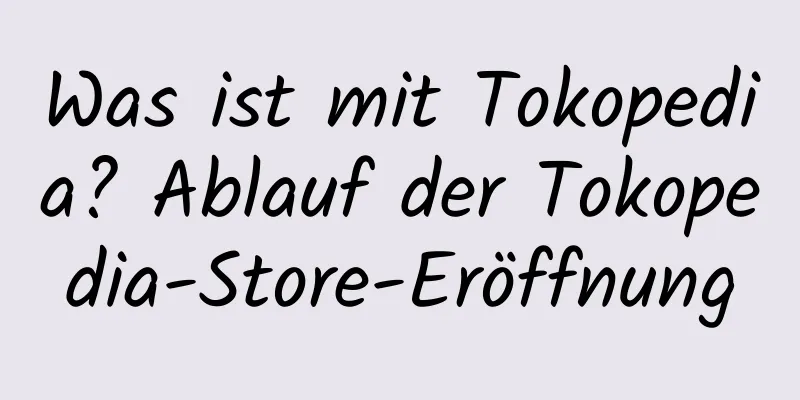 Was ist mit Tokopedia? Ablauf der Tokopedia-Store-Eröffnung