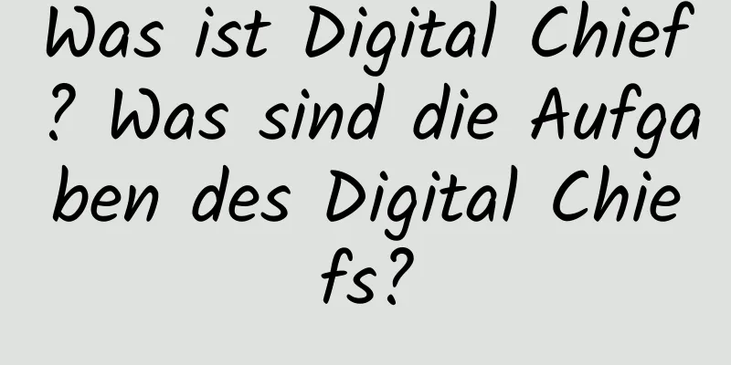 Was ist Digital Chief? Was sind die Aufgaben des Digital Chiefs?