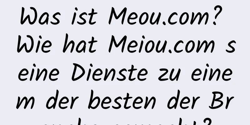 Was ist Meou.com? Wie hat Meiou.com seine Dienste zu einem der besten der Branche gemacht?