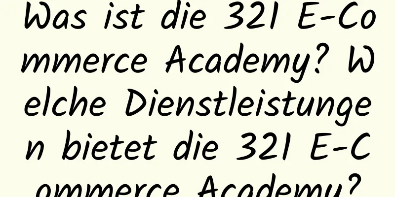 Was ist die 321 E-Commerce Academy? Welche Dienstleistungen bietet die 321 E-Commerce Academy?