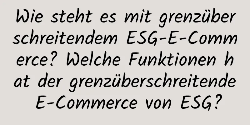 Wie steht es mit grenzüberschreitendem ESG-E-Commerce? Welche Funktionen hat der grenzüberschreitende E-Commerce von ESG?