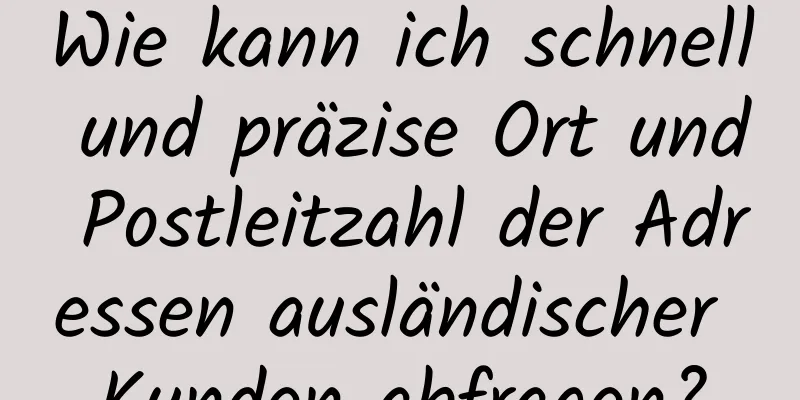 Wie kann ich schnell und präzise Ort und Postleitzahl der Adressen ausländischer Kunden abfragen?