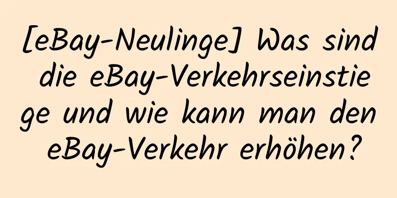 [eBay-Neulinge] Was sind die eBay-Verkehrseinstiege und wie kann man den eBay-Verkehr erhöhen?