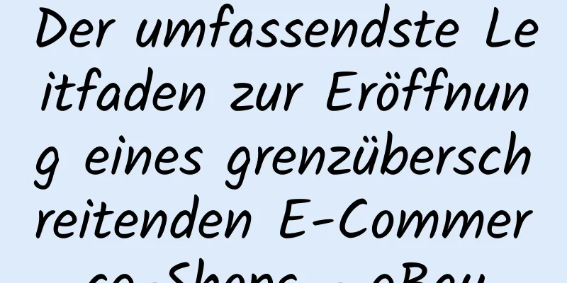 Der umfassendste Leitfaden zur Eröffnung eines grenzüberschreitenden E-Commerce-Shops - eBay