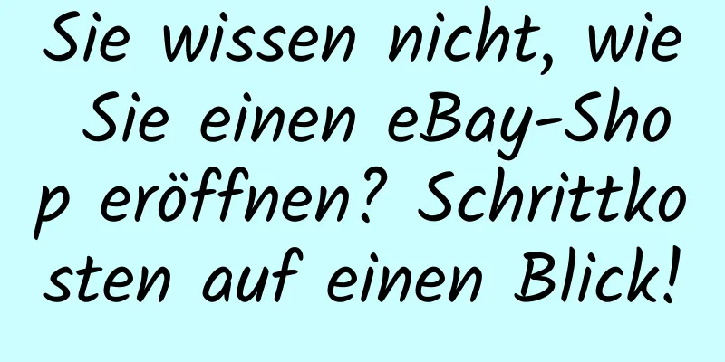 Sie wissen nicht, wie Sie einen eBay-Shop eröffnen? Schrittkosten auf einen Blick!