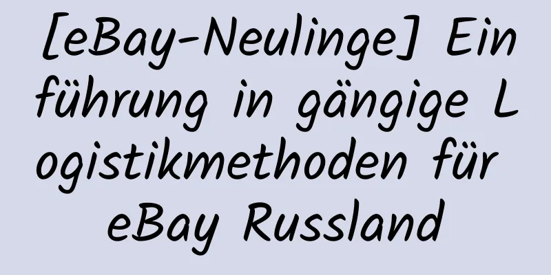 [eBay-Neulinge] Einführung in gängige Logistikmethoden für eBay Russland