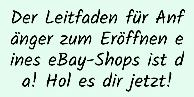 Der Leitfaden für Anfänger zum Eröffnen eines eBay-Shops ist da! Hol es dir jetzt!