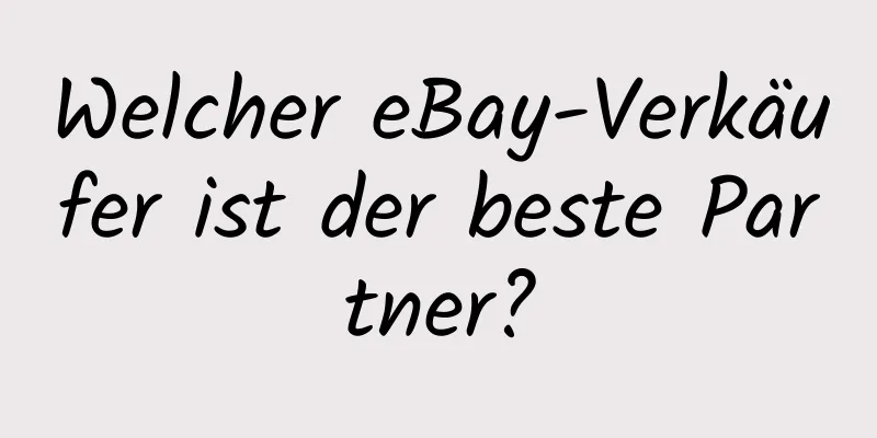 Welcher eBay-Verkäufer ist der beste Partner?