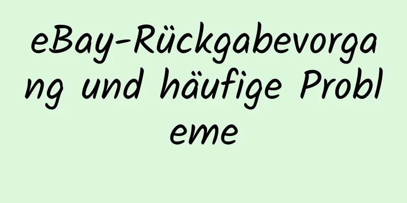 eBay-Rückgabevorgang und häufige Probleme