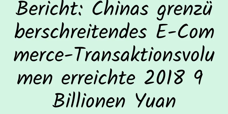 Bericht: Chinas grenzüberschreitendes E-Commerce-Transaktionsvolumen erreichte 2018 9 Billionen Yuan