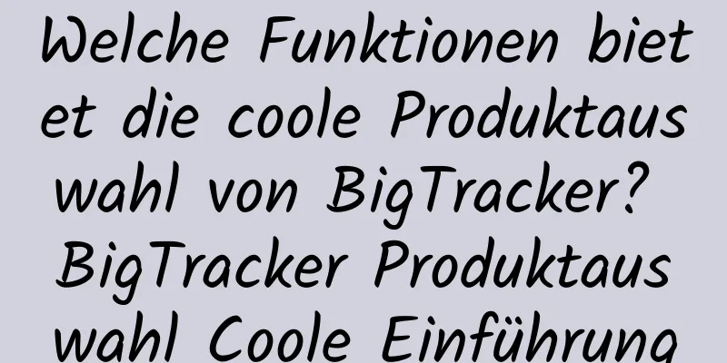 Welche Funktionen bietet die coole Produktauswahl von BigTracker? BigTracker Produktauswahl Coole Einführung