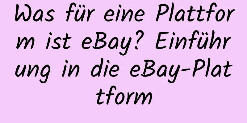 Was für eine Plattform ist eBay? Einführung in die eBay-Plattform