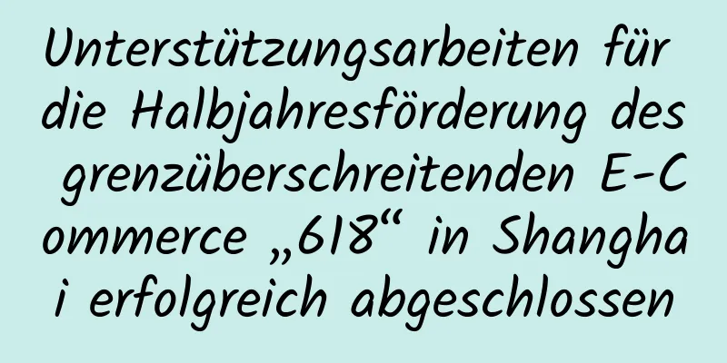 Unterstützungsarbeiten für die Halbjahresförderung des grenzüberschreitenden E-Commerce „618“ in Shanghai erfolgreich abgeschlossen