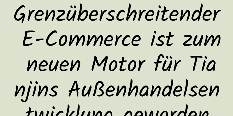 Grenzüberschreitender E-Commerce ist zum neuen Motor für Tianjins Außenhandelsentwicklung geworden