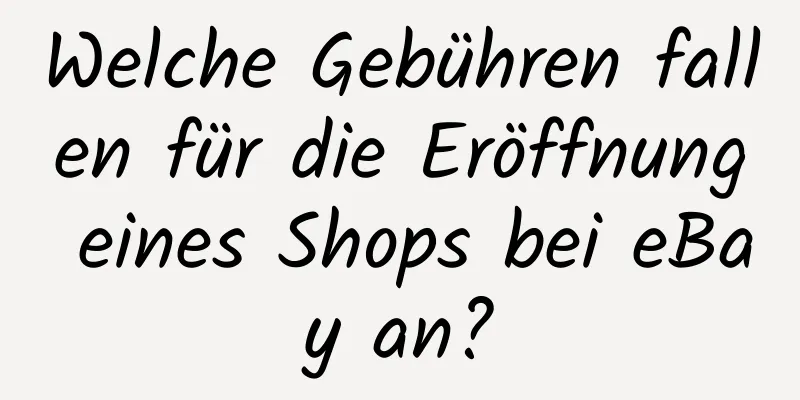 Welche Gebühren fallen für die Eröffnung eines Shops bei eBay an?