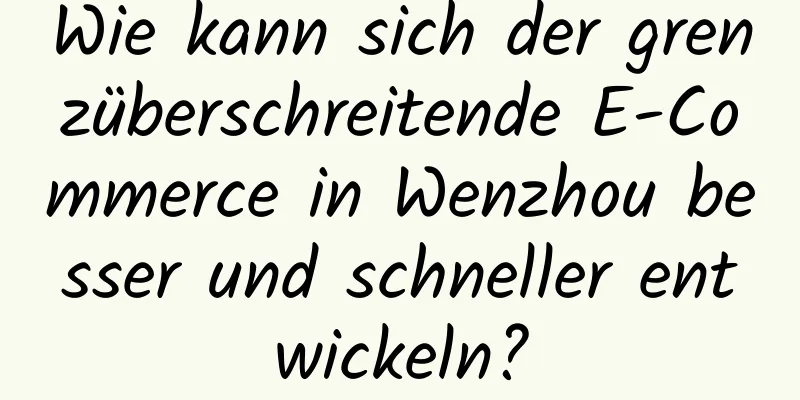 Wie kann sich der grenzüberschreitende E-Commerce in Wenzhou besser und schneller entwickeln?