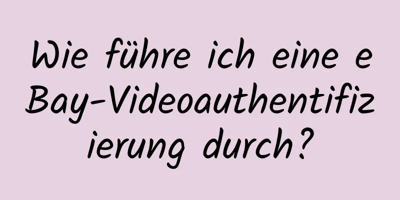 Wie führe ich eine eBay-Videoauthentifizierung durch?