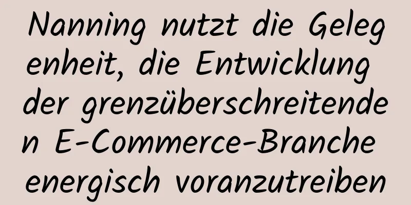 Nanning nutzt die Gelegenheit, die Entwicklung der grenzüberschreitenden E-Commerce-Branche energisch voranzutreiben