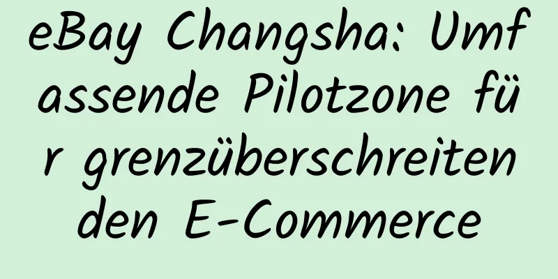 eBay Changsha: Umfassende Pilotzone für grenzüberschreitenden E-Commerce