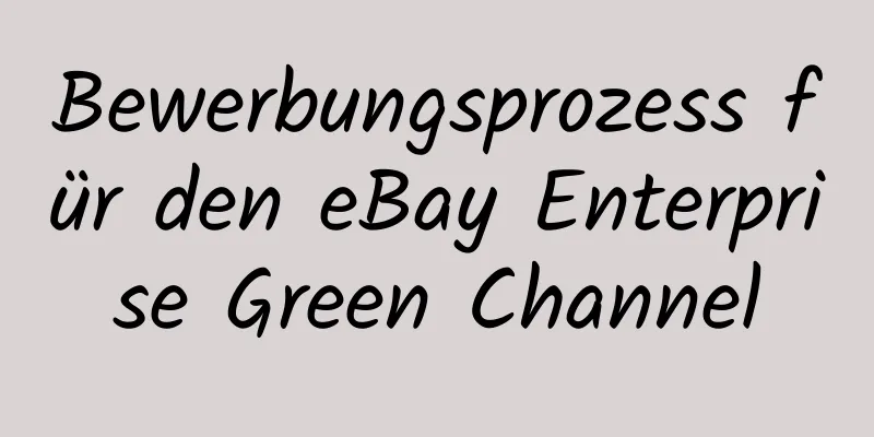 Bewerbungsprozess für den eBay Enterprise Green Channel