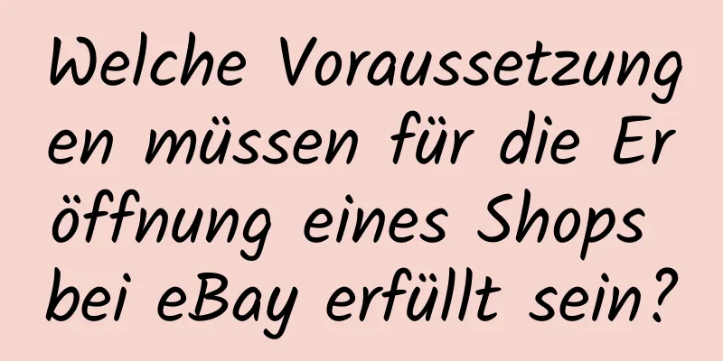 Welche Voraussetzungen müssen für die Eröffnung eines Shops bei eBay erfüllt sein?