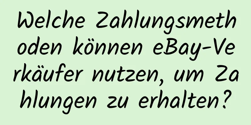 Welche Zahlungsmethoden können eBay-Verkäufer nutzen, um Zahlungen zu erhalten?