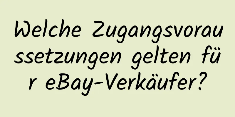 Welche Zugangsvoraussetzungen gelten für eBay-Verkäufer?