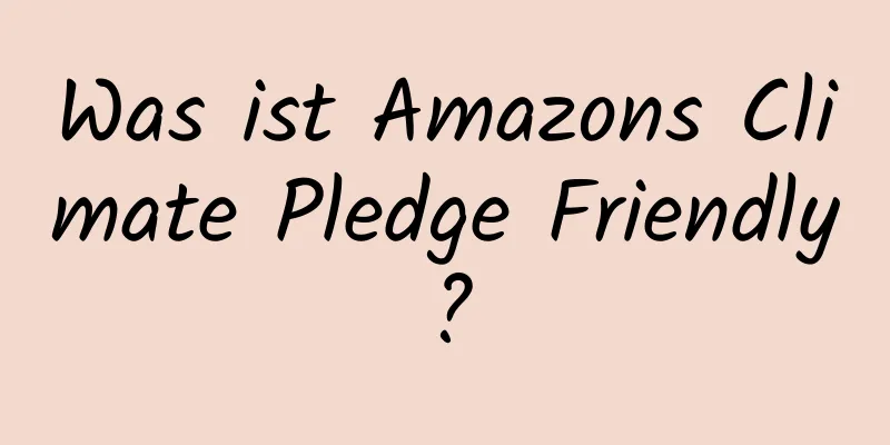 Was ist Amazons Climate Pledge Friendly?