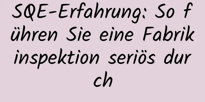 SQE-Erfahrung: So führen Sie eine Fabrikinspektion seriös durch