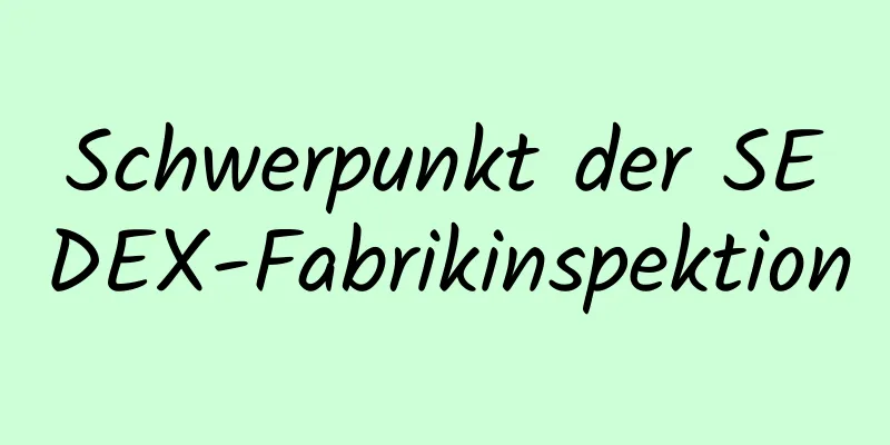 Schwerpunkt der SEDEX-Fabrikinspektion