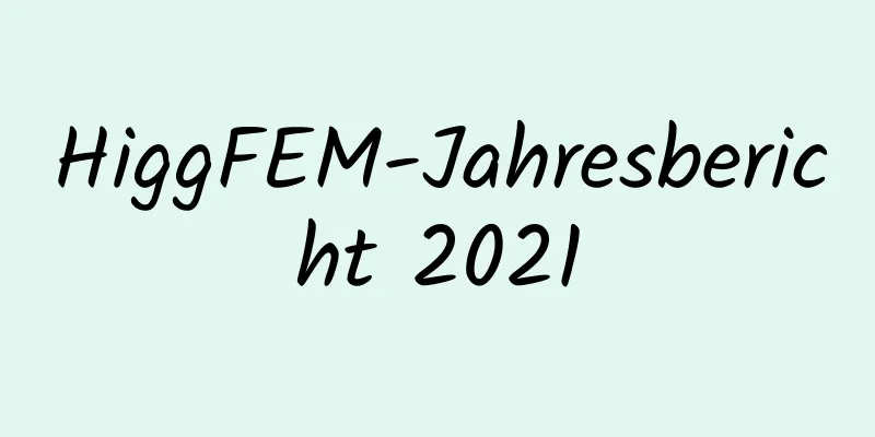 HiggFEM-Jahresbericht 2021