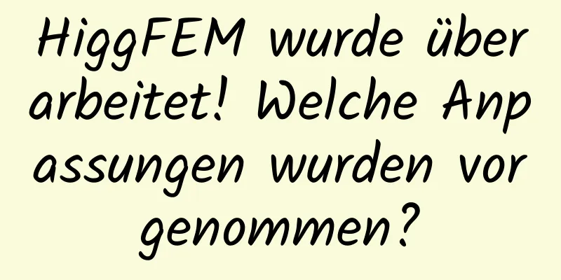 HiggFEM wurde überarbeitet! Welche Anpassungen wurden vorgenommen?