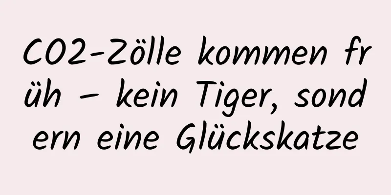 CO2-Zölle kommen früh – kein Tiger, sondern eine Glückskatze